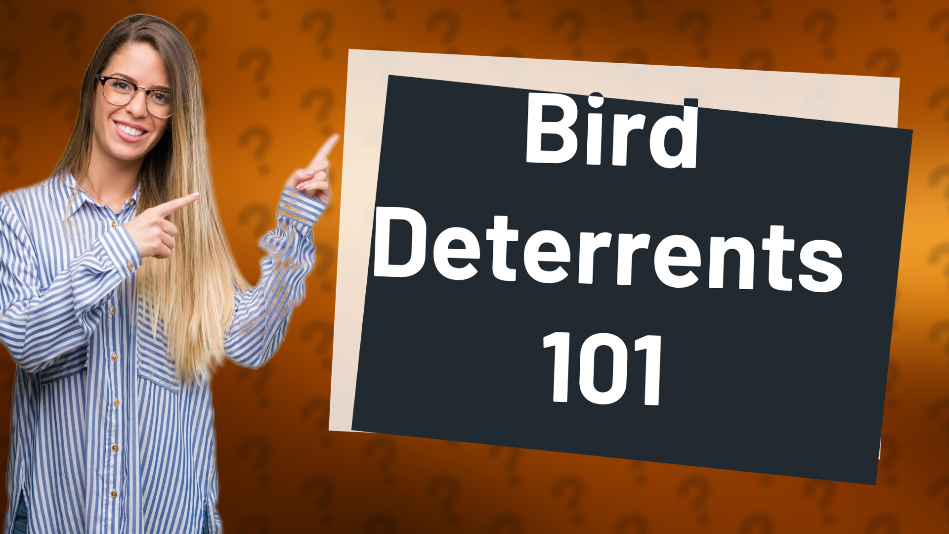 Bird Deterrents 101