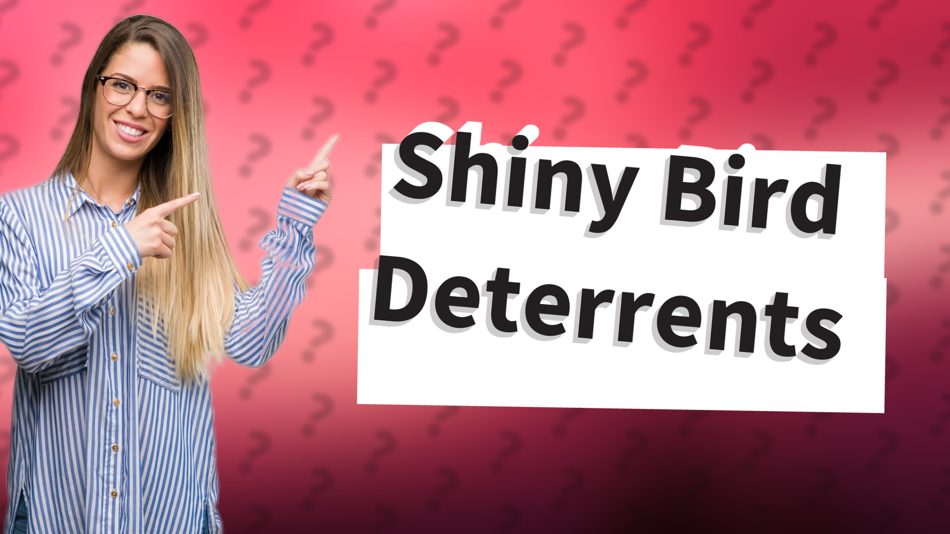 Shiny Bird Deterrents