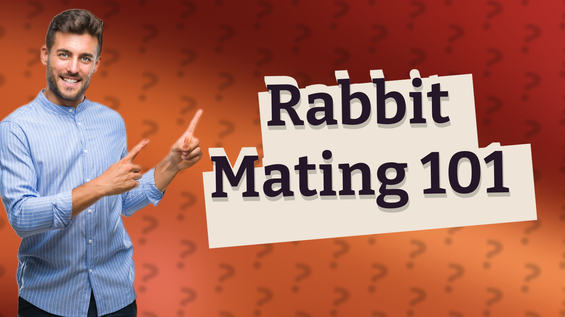 Rabbit Mating 101