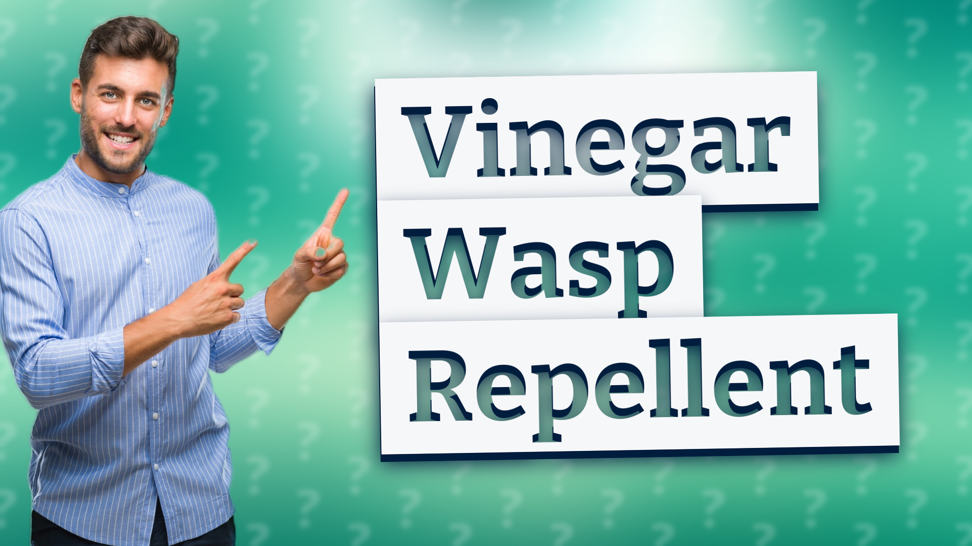 Vinegar Wasp Repellent