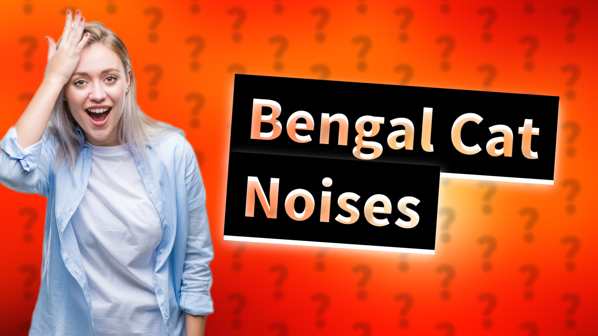Bengal Cat Noises
