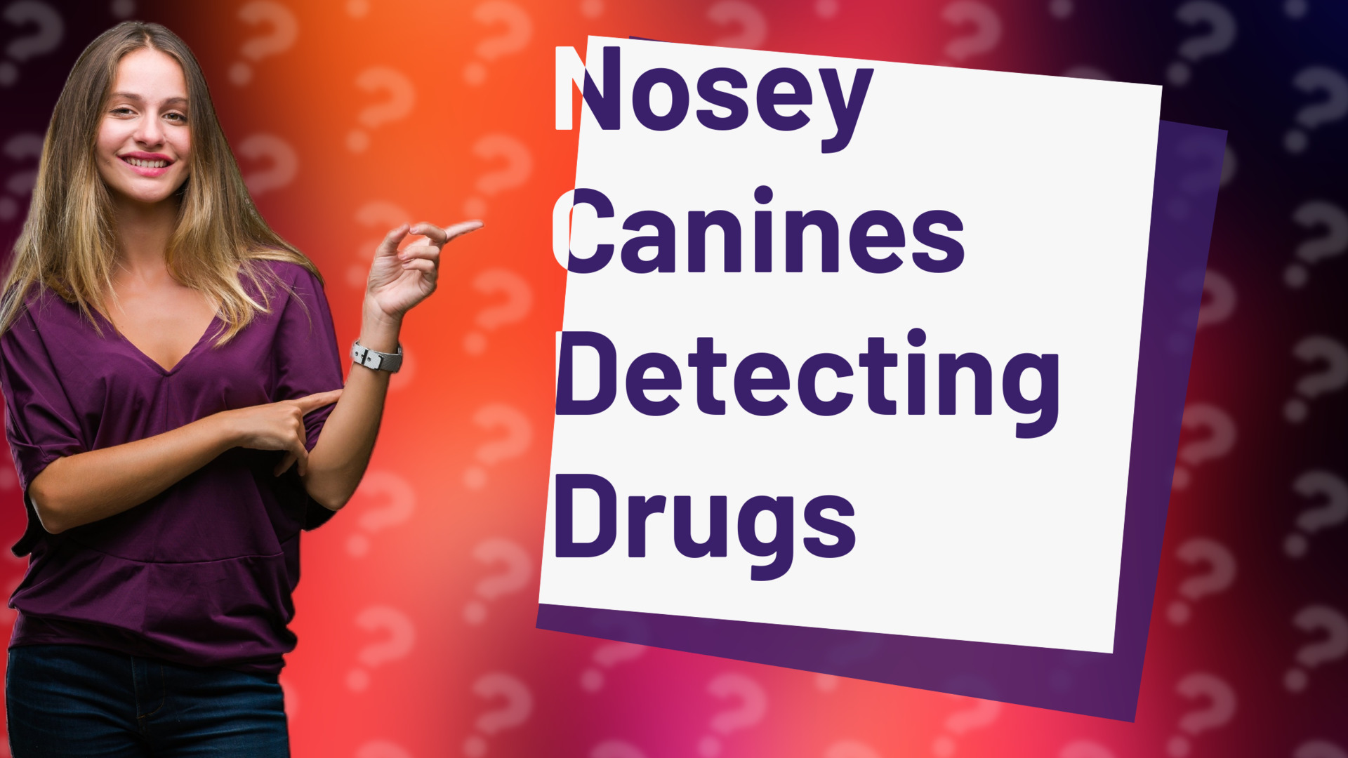 Nosey Canines Detecting Drugs