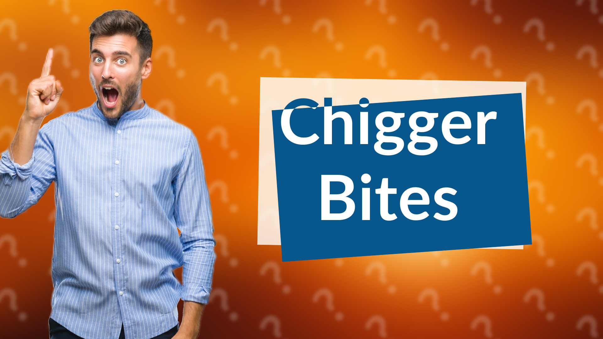 Chigger Bites
