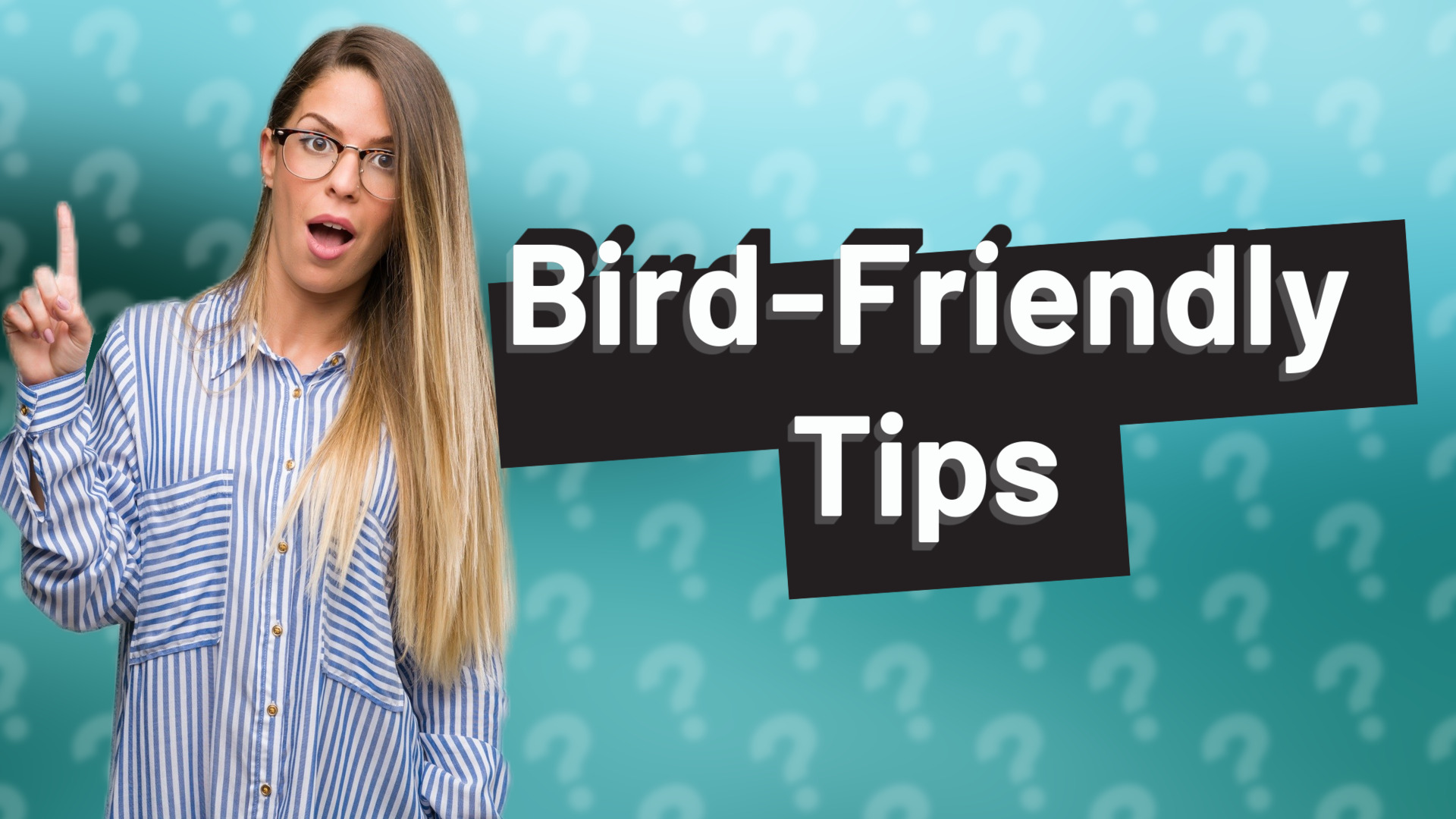 Bird-Friendly Tips