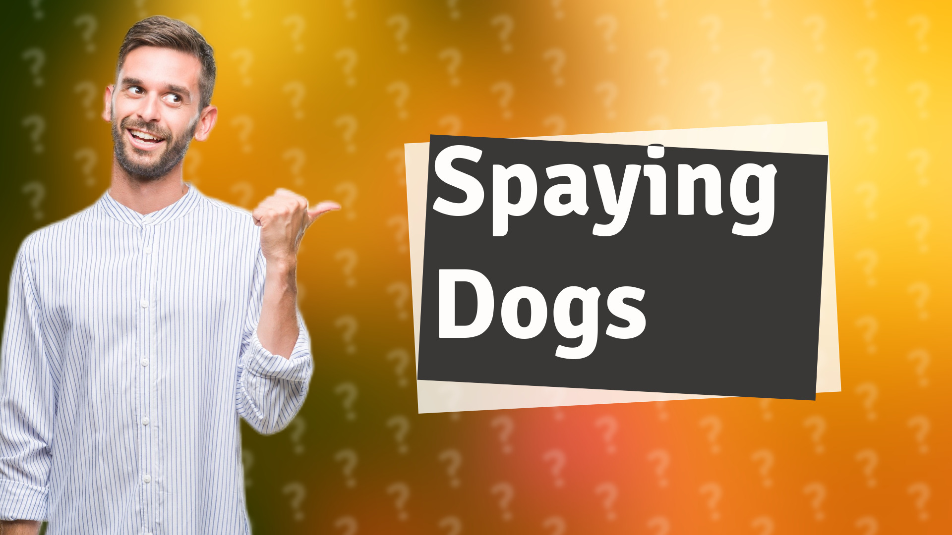 Spaying Dogs
