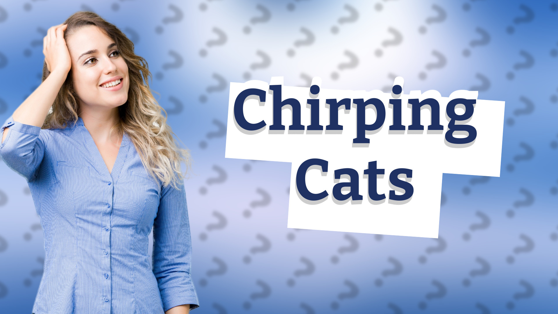 Chirping Cats