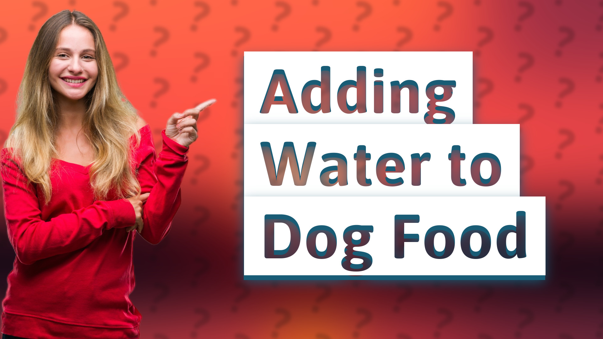 Adding Water to Dog Food