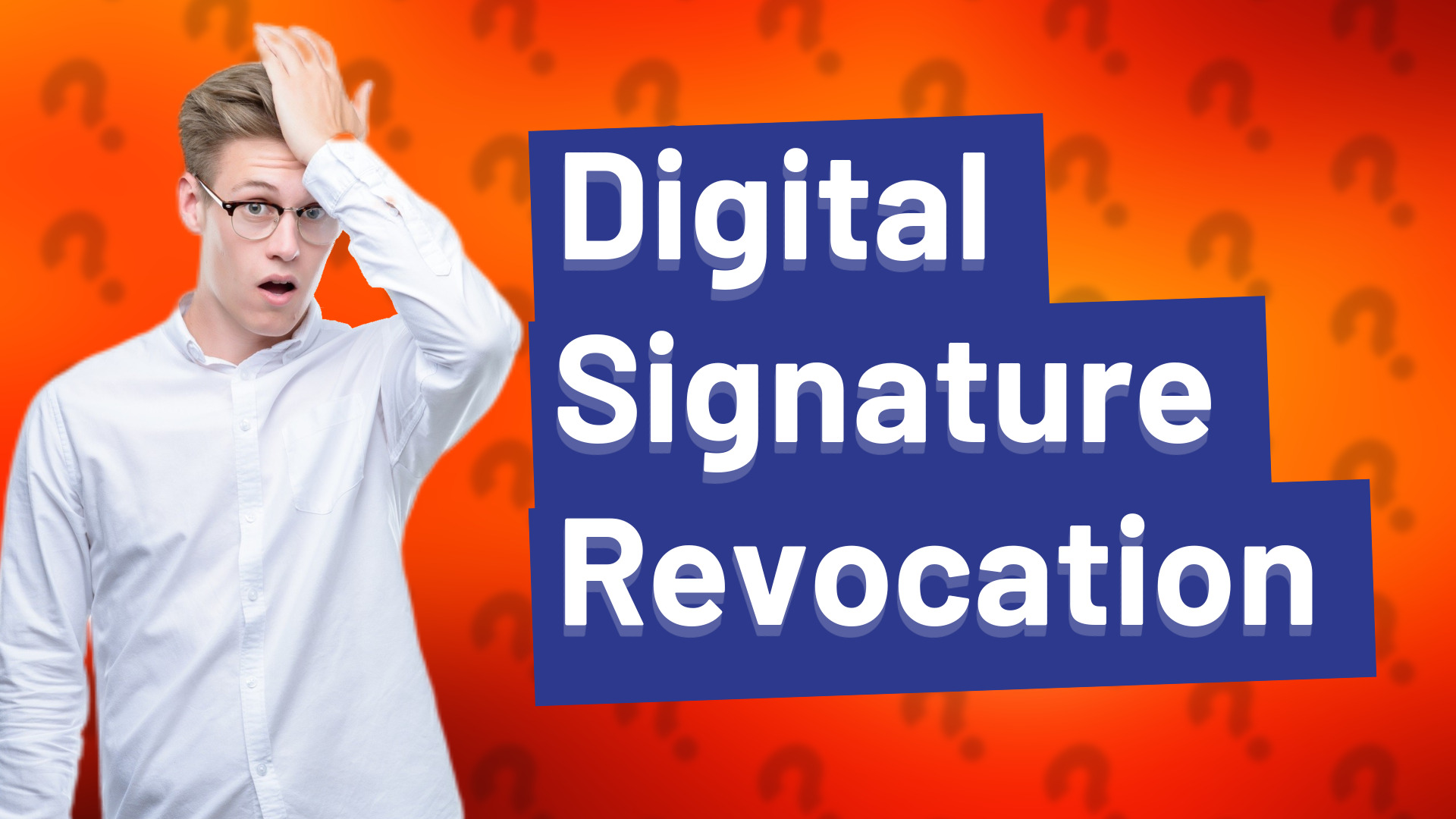 Digital Signature Revocation
