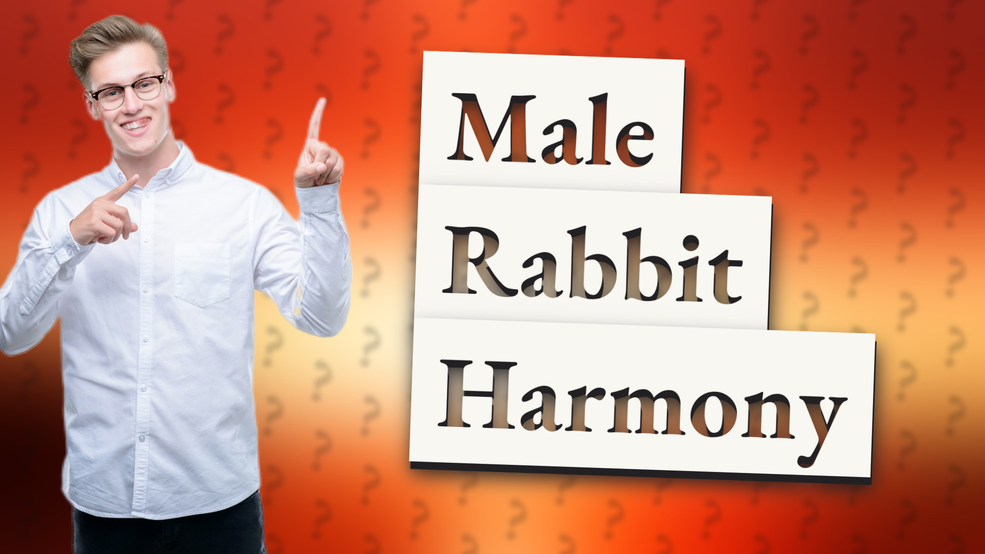 Male Rabbit Harmony