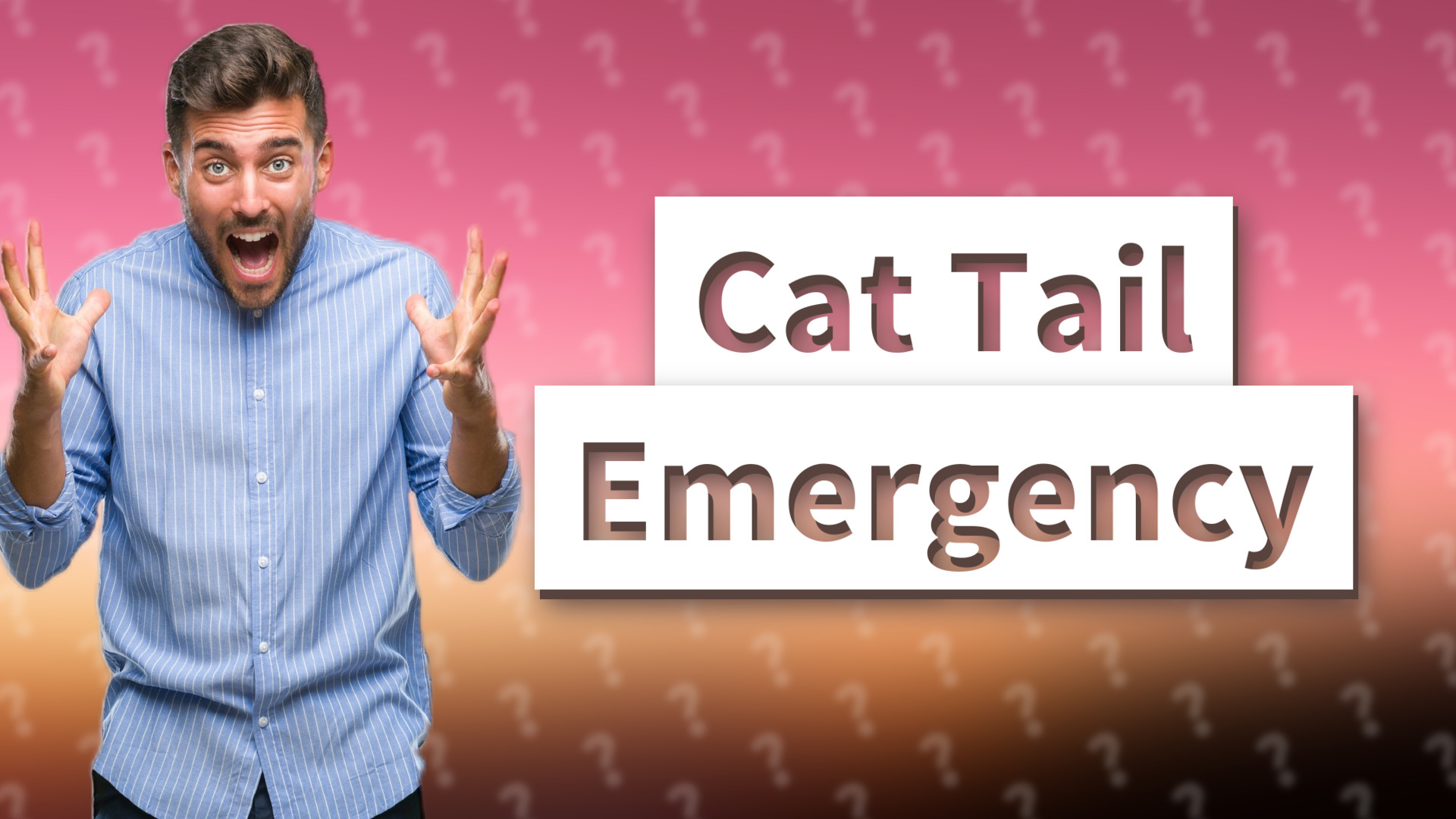 Cat Tail Emergency