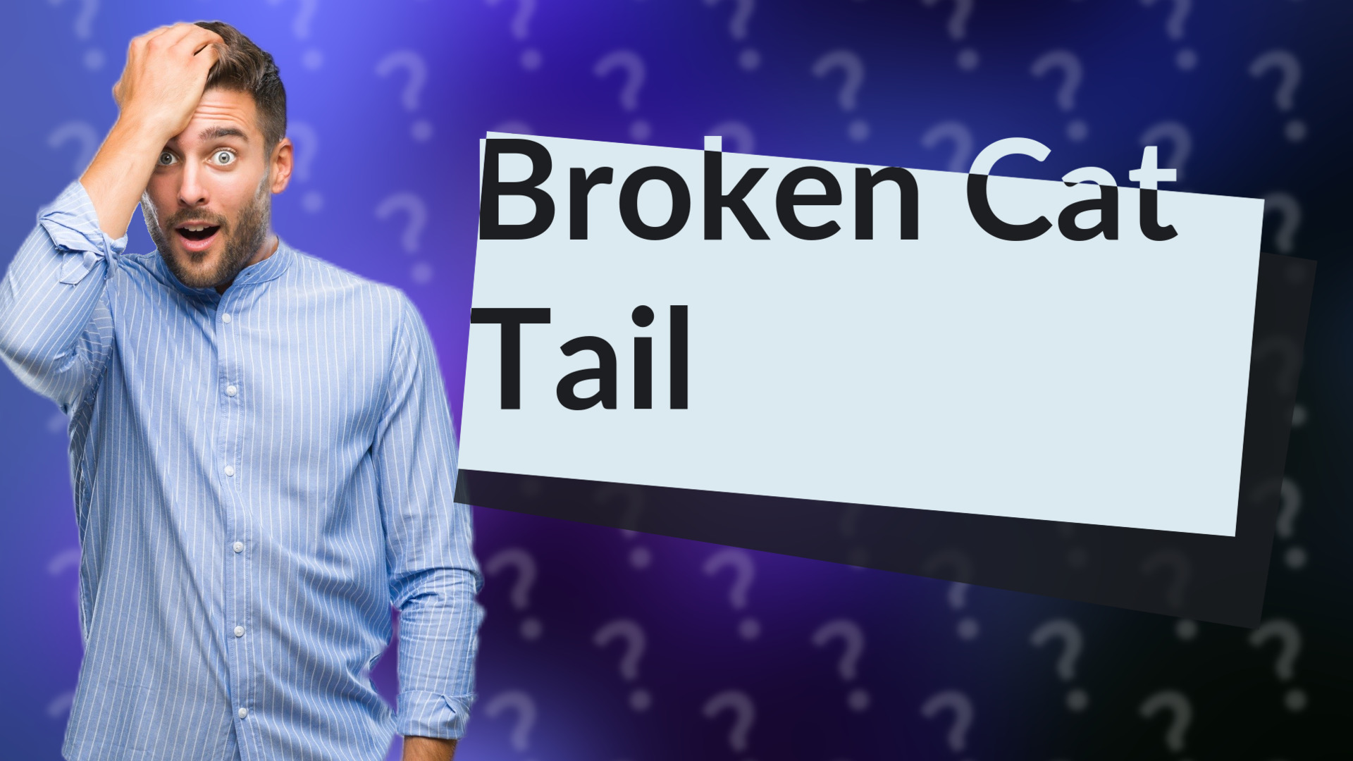 Broken Cat Tail