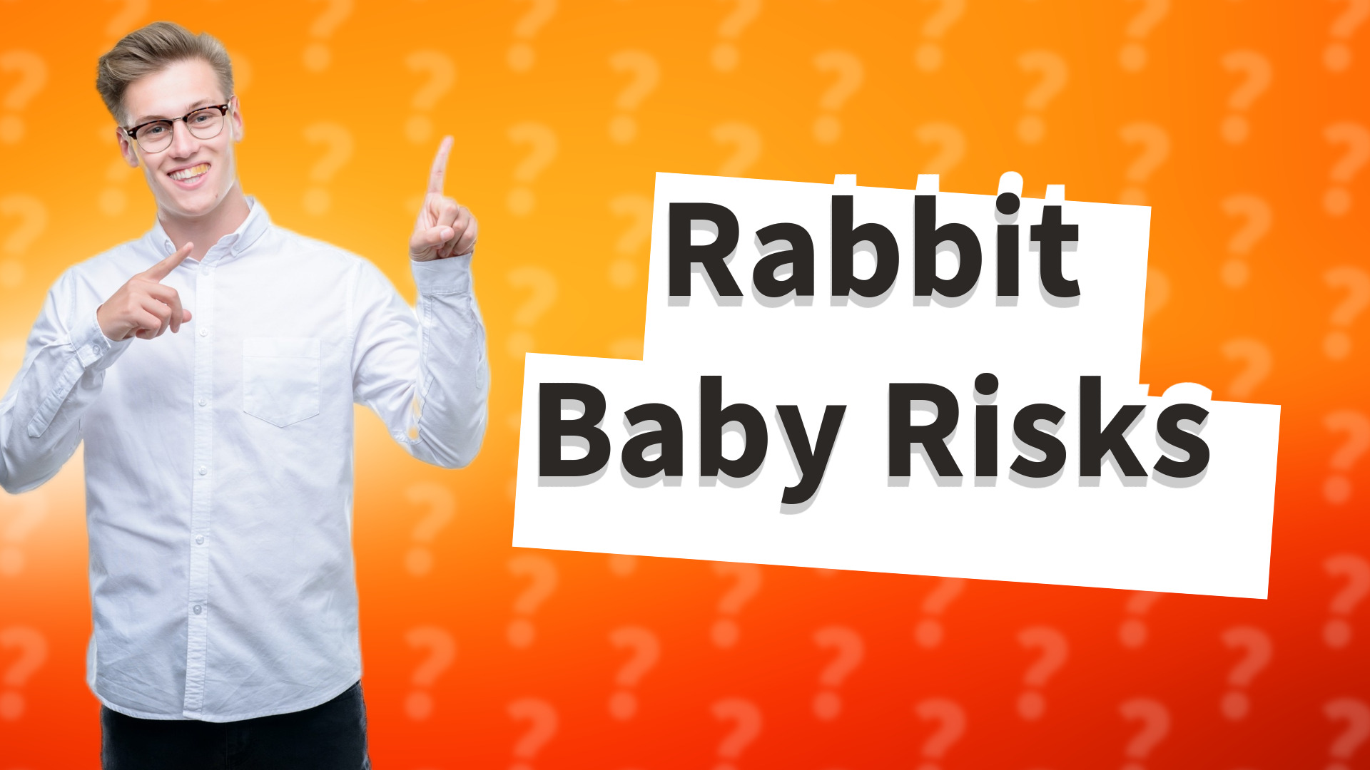 Rabbit Baby Risks