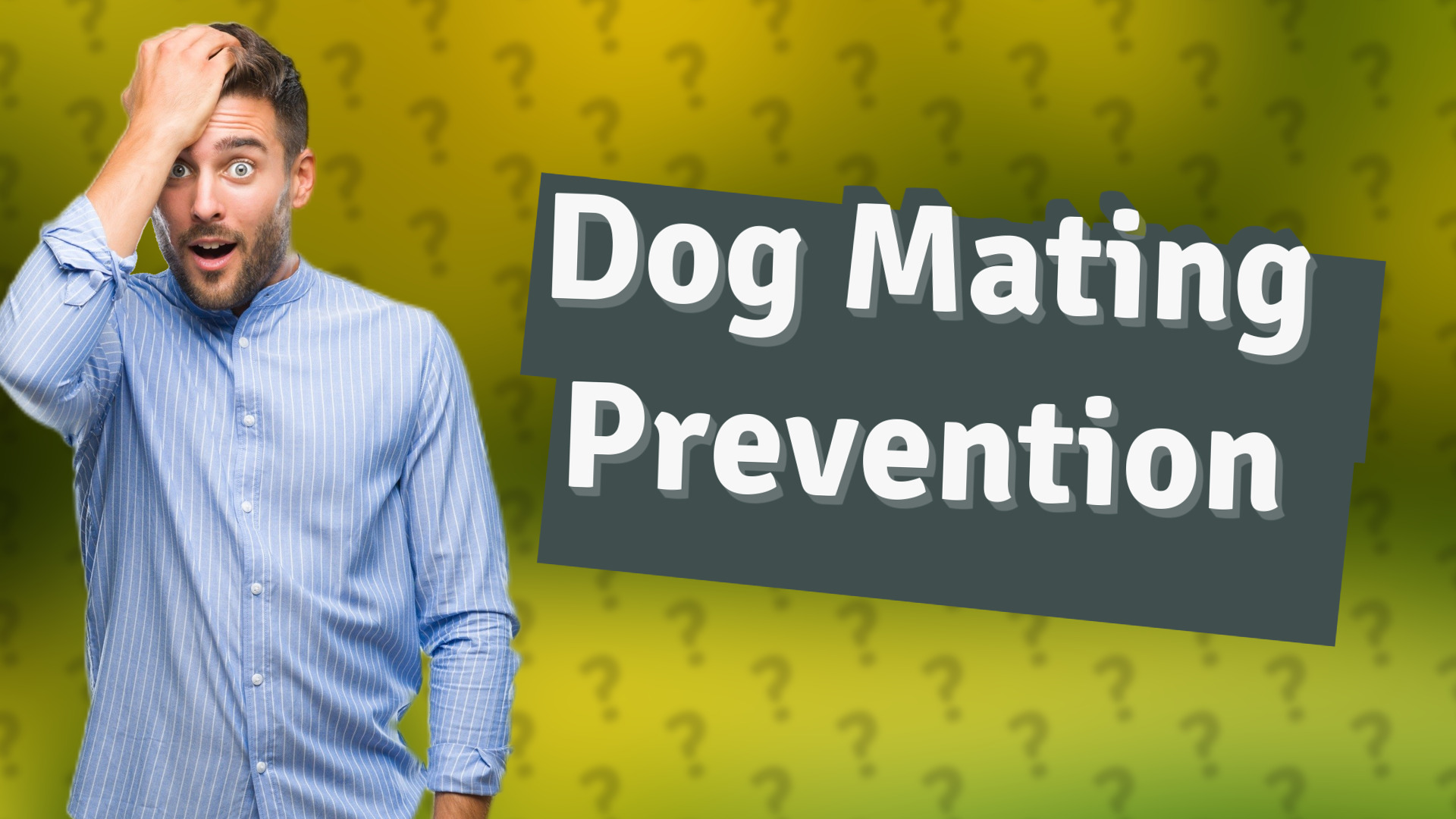 Dog Mating Prevention