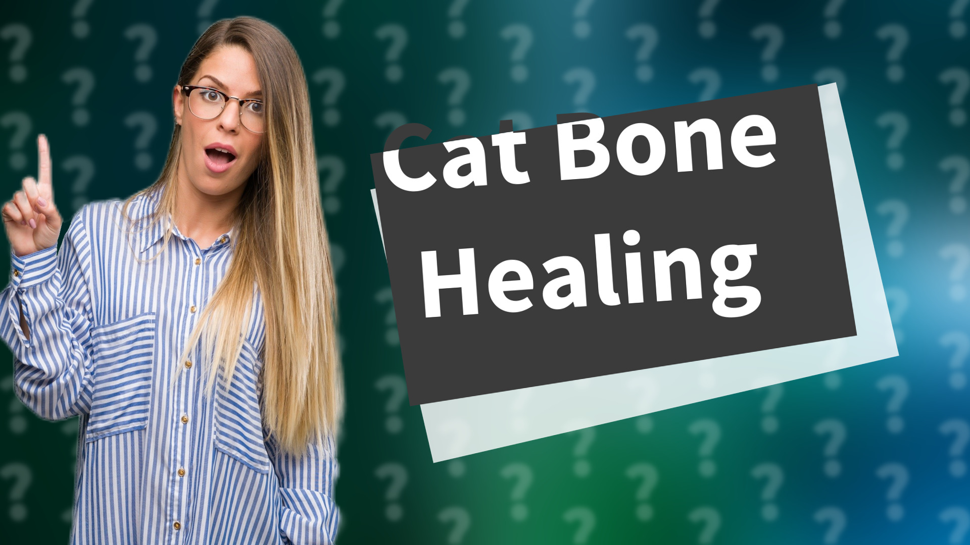Cat Bone Healing