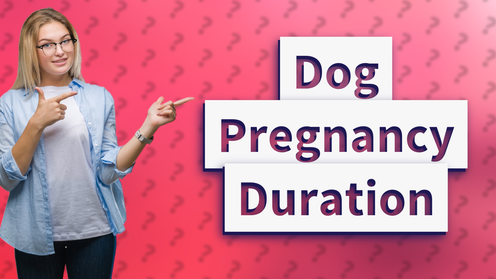 Dog Pregnancy Duration
