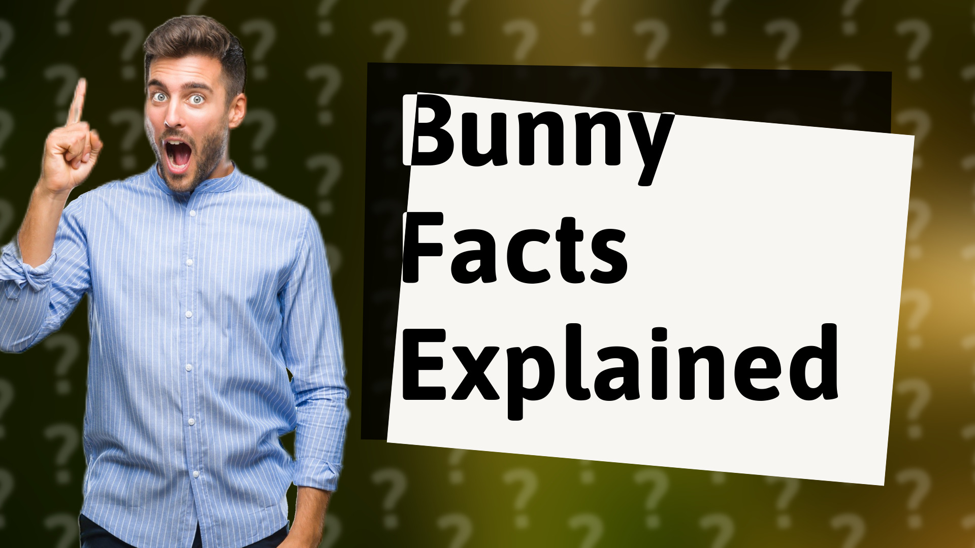 Bunny Facts Explained
