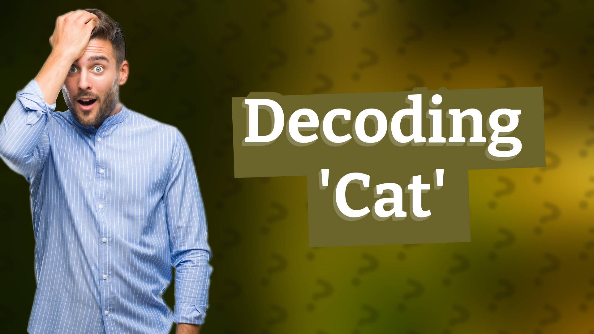 Decoding 'Cat'