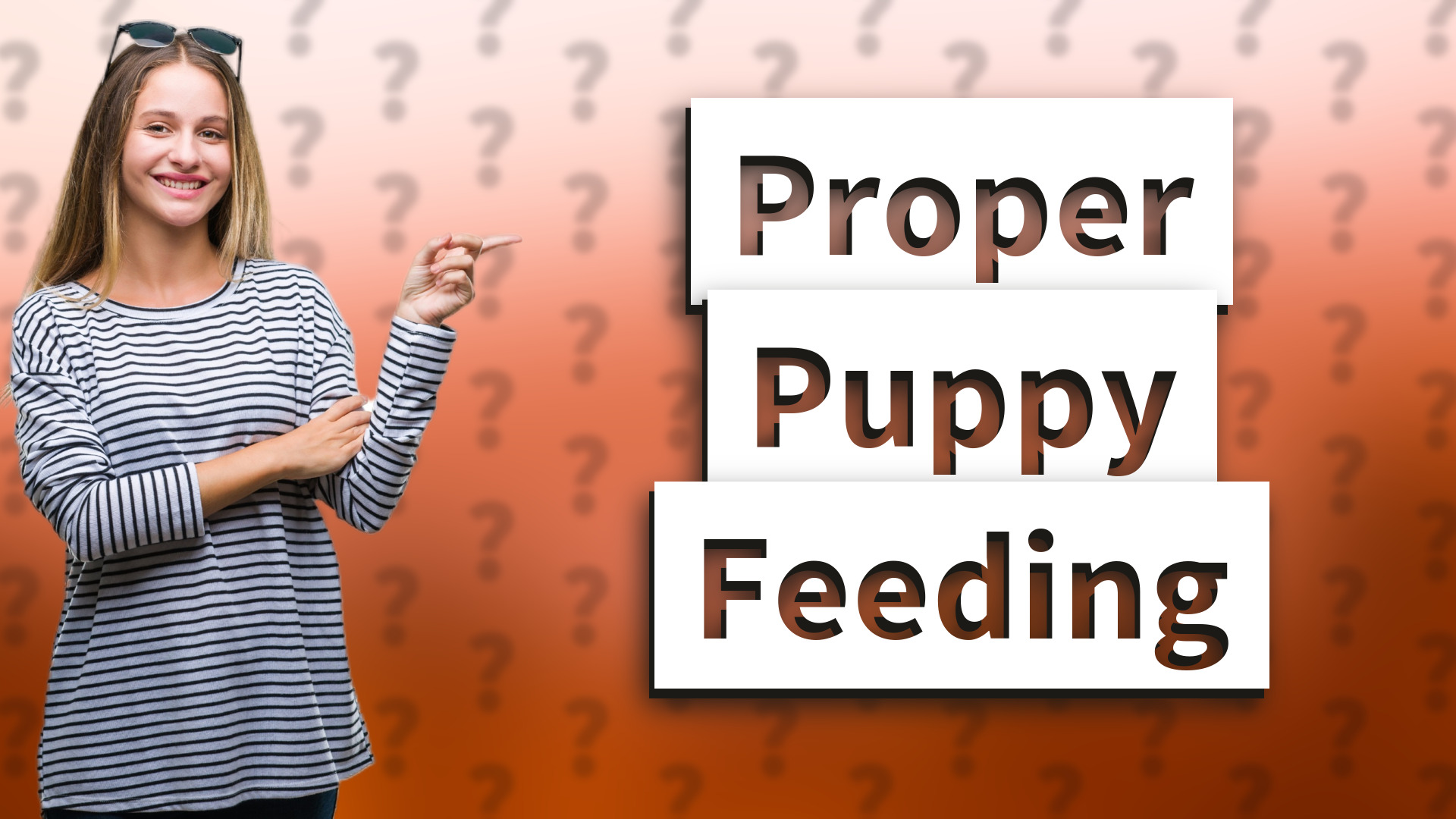 Proper Puppy Feeding