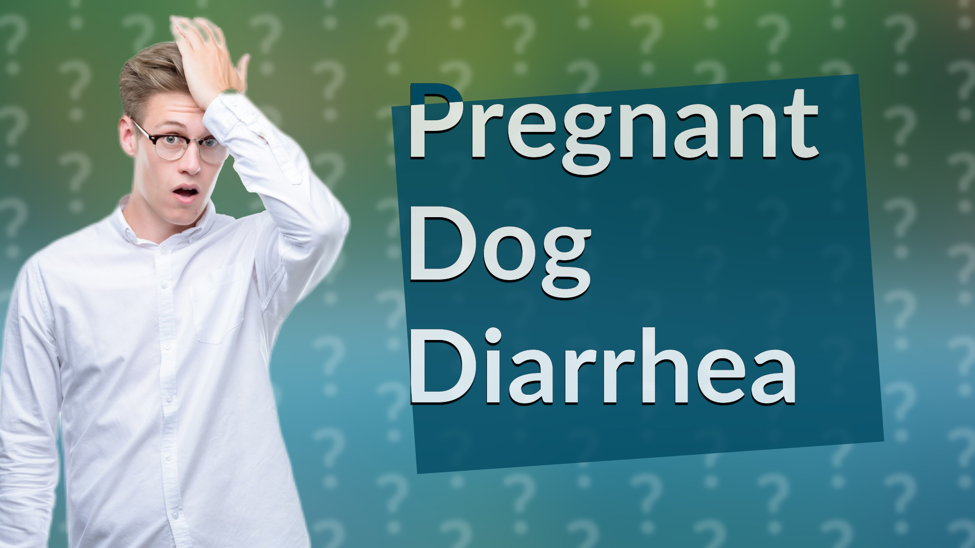 Pregnant Dog Diarrhea