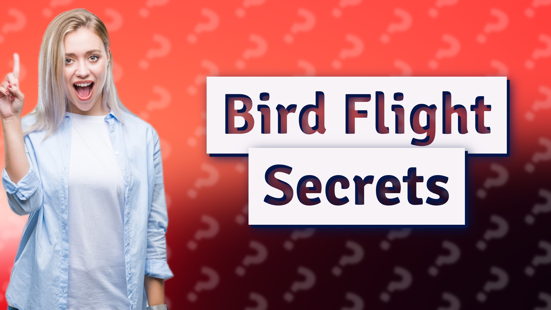 Bird Flight Secrets