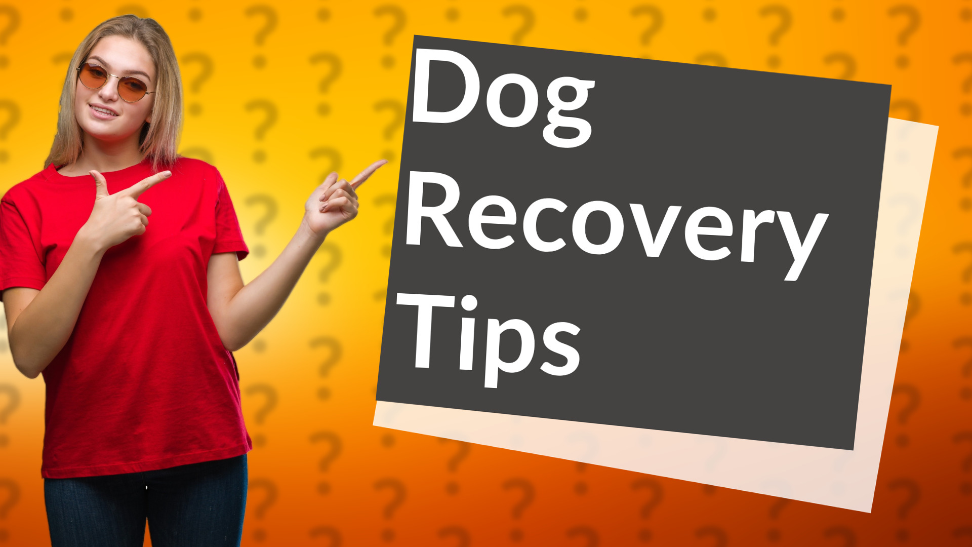 Dog Recovery Tips