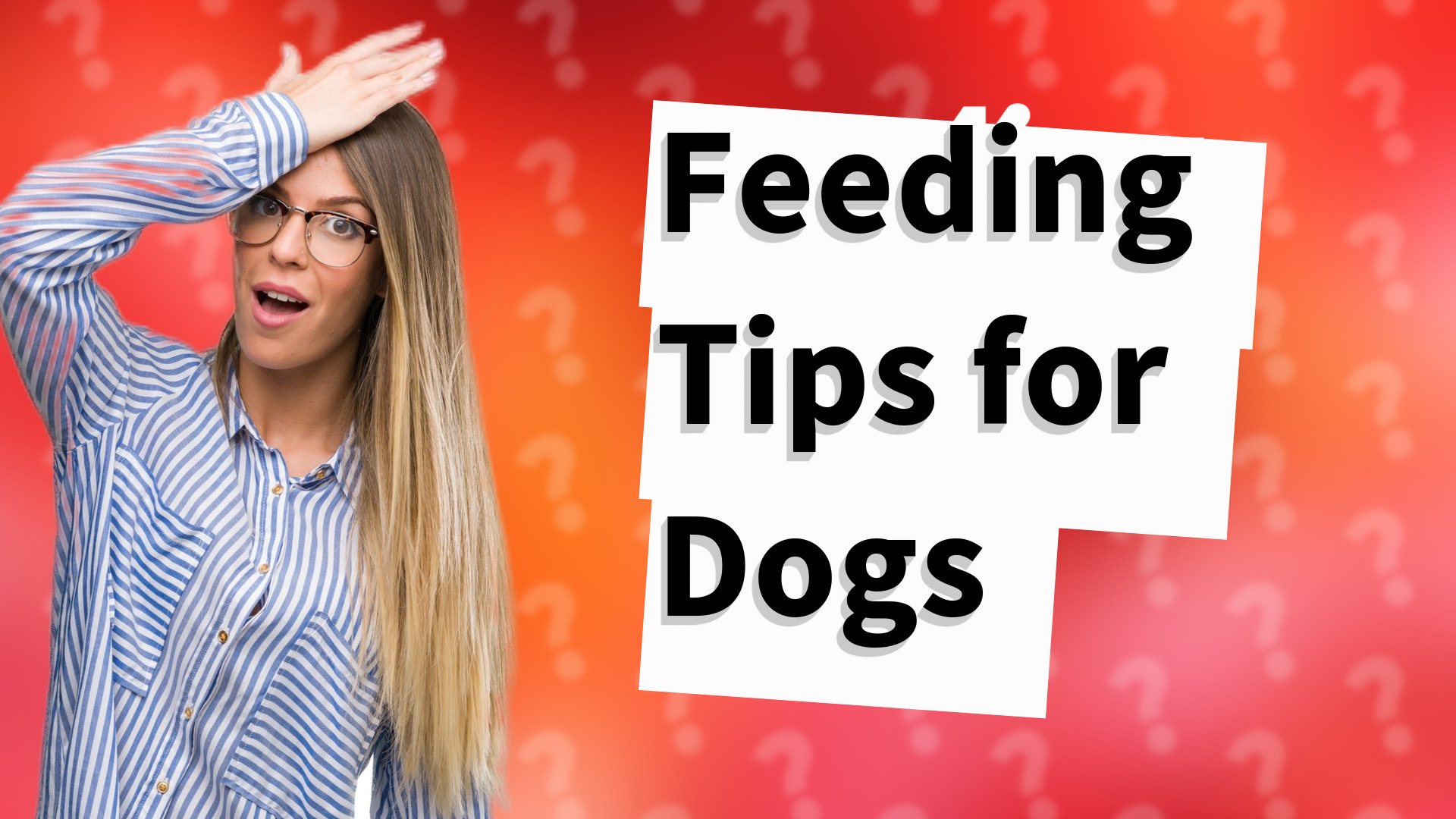 Feeding Tips for Dogs