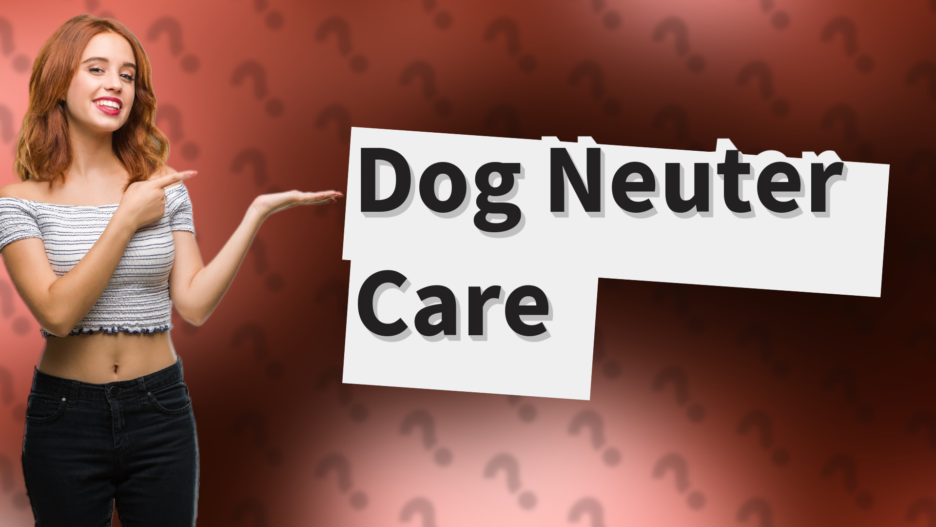 Dog Neuter Care
