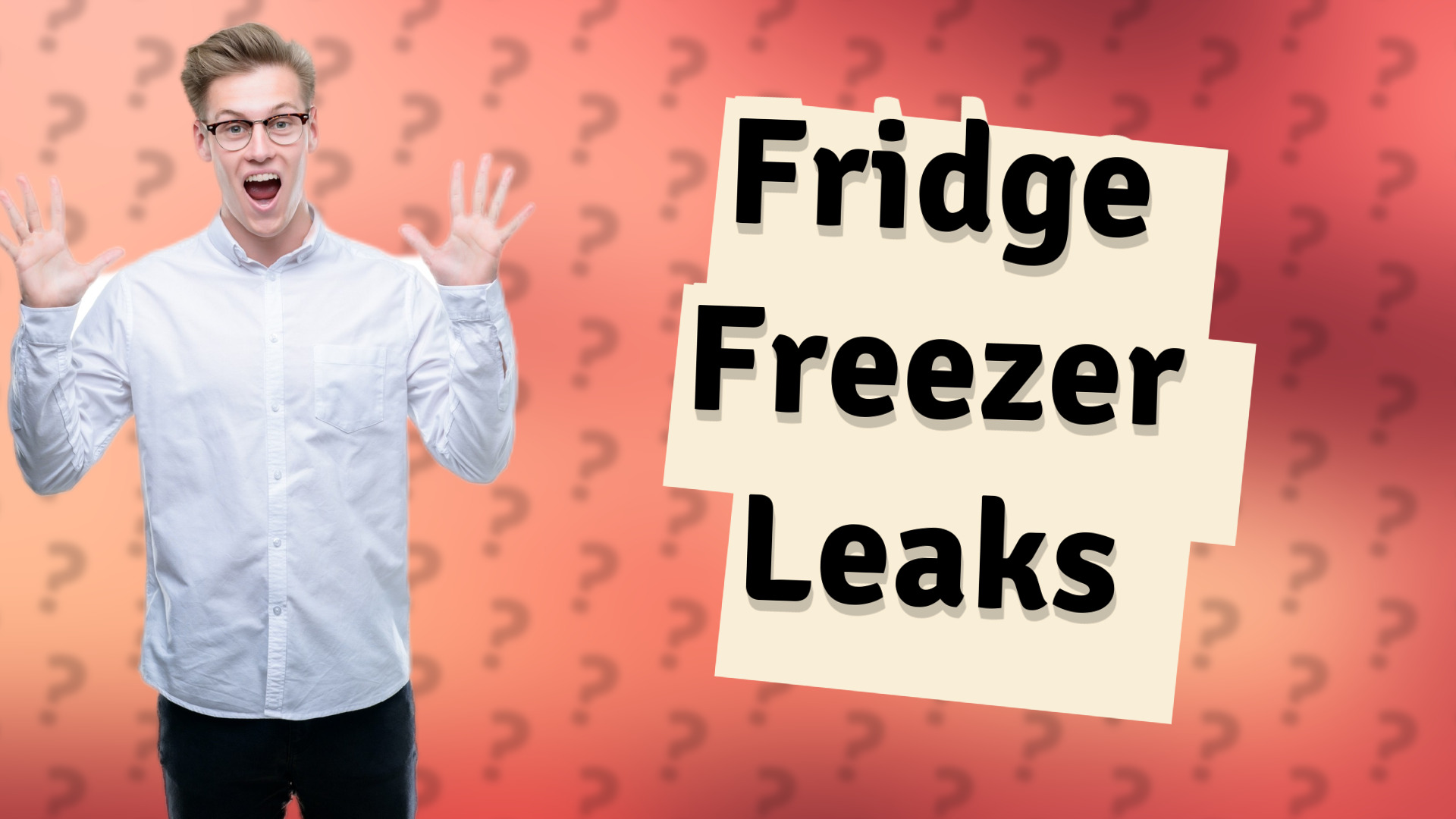 Fridge Freezer Leaks
