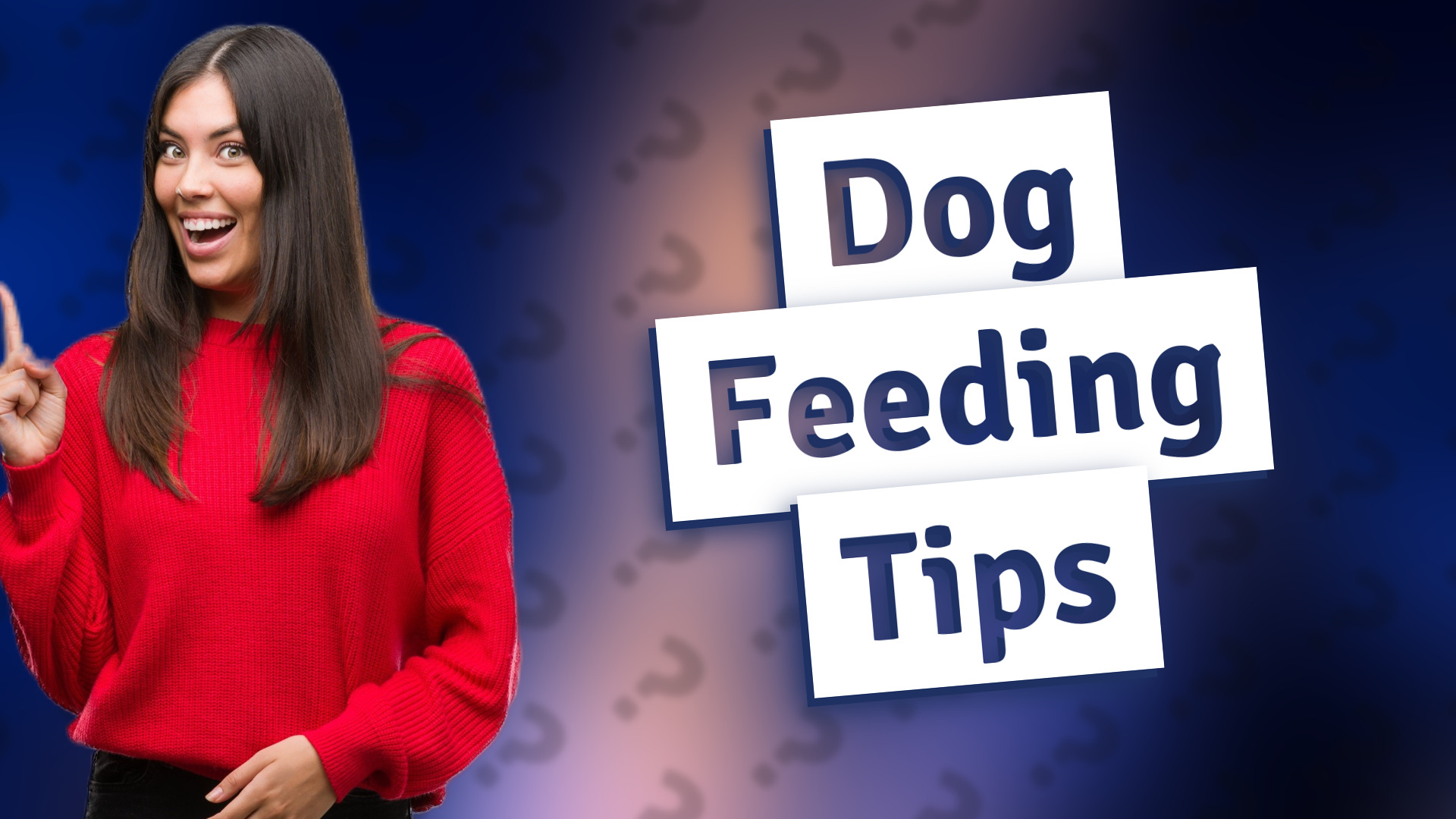 Dog Feeding Tips