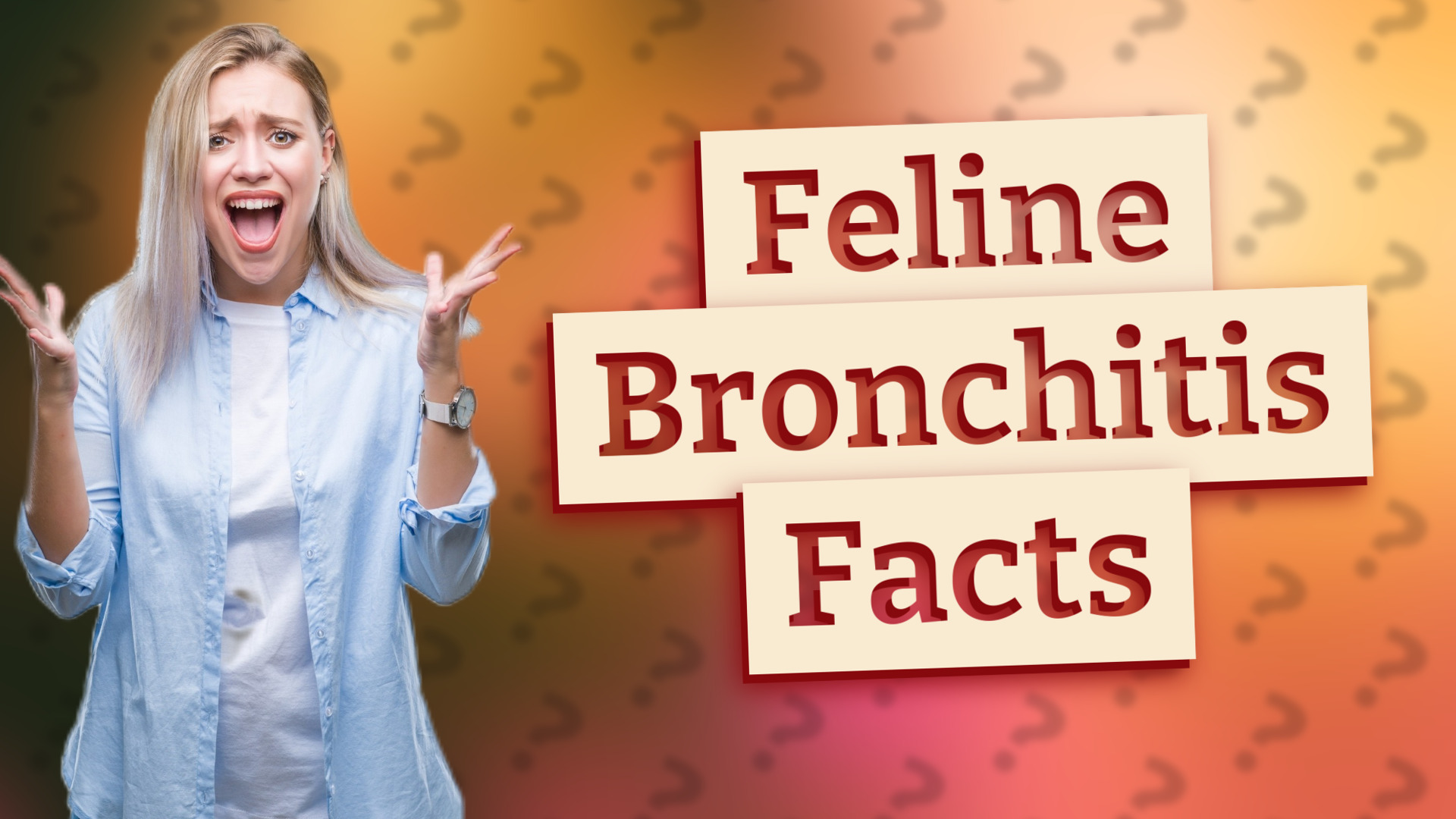 Feline Bronchitis Facts