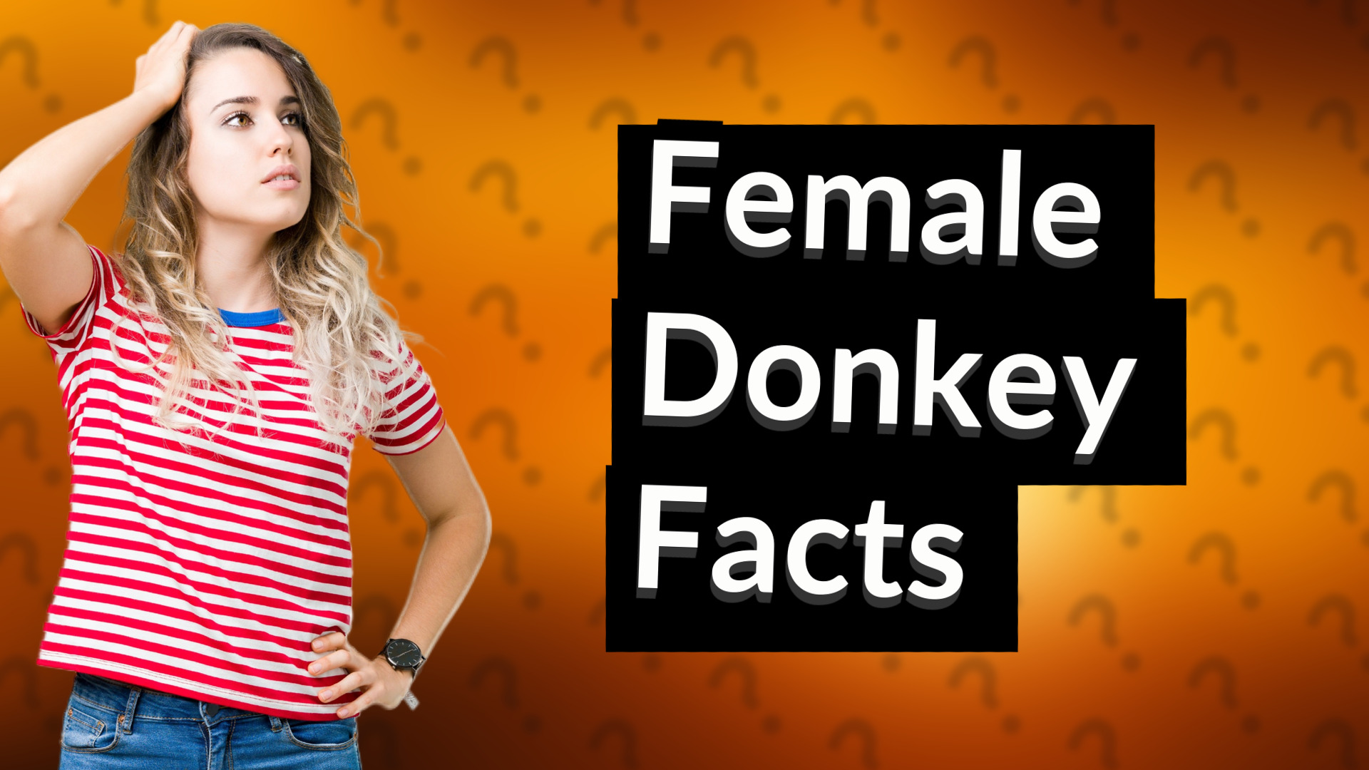Female Donkey Facts