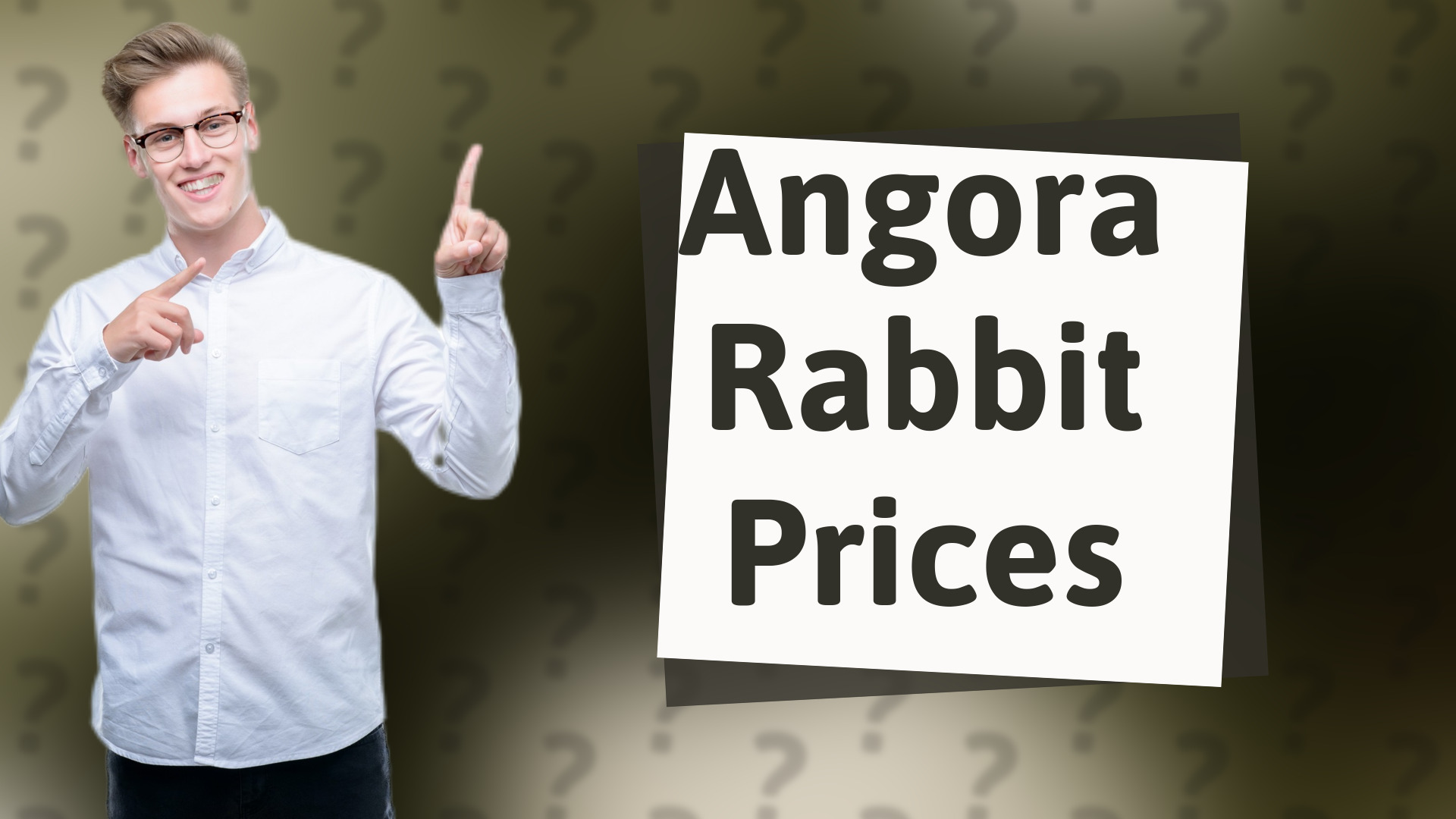 Angora Rabbit Prices