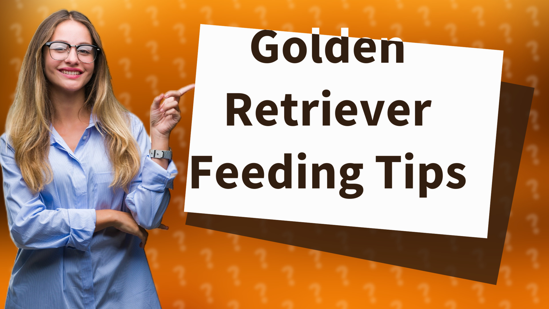 Golden Retriever Feeding Tips