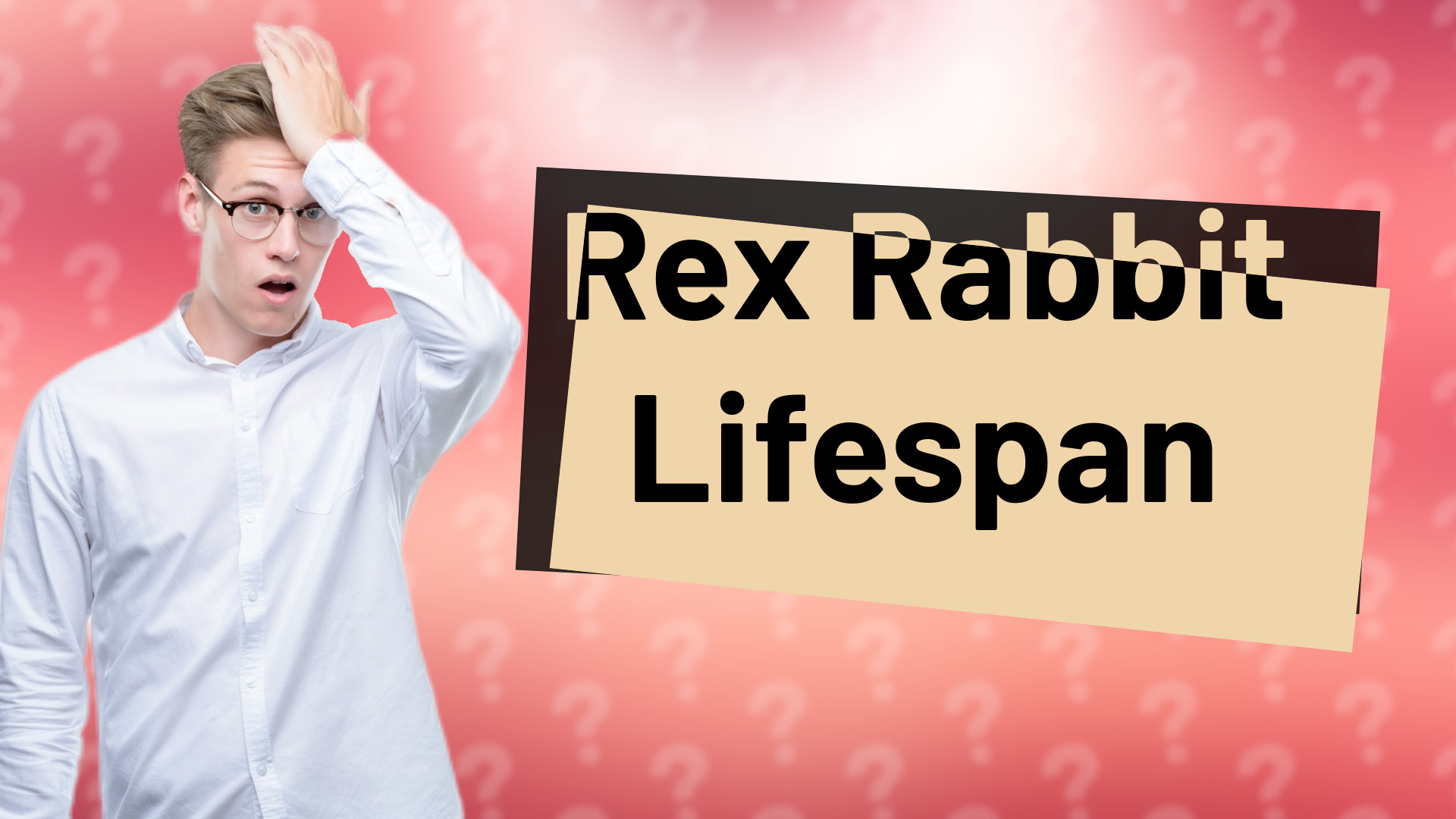 Rex Rabbit Lifespan