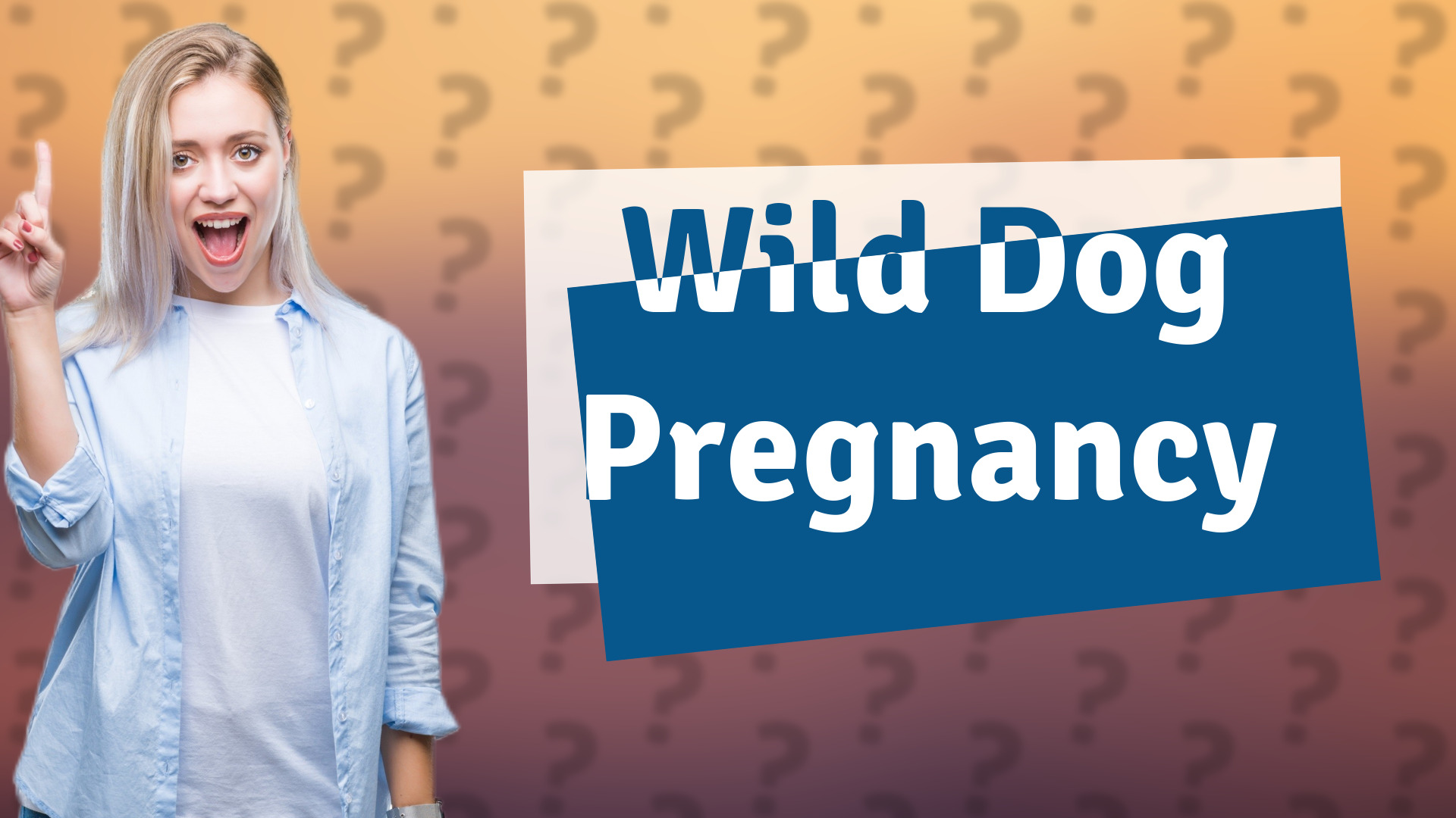 Wild Dog Pregnancy