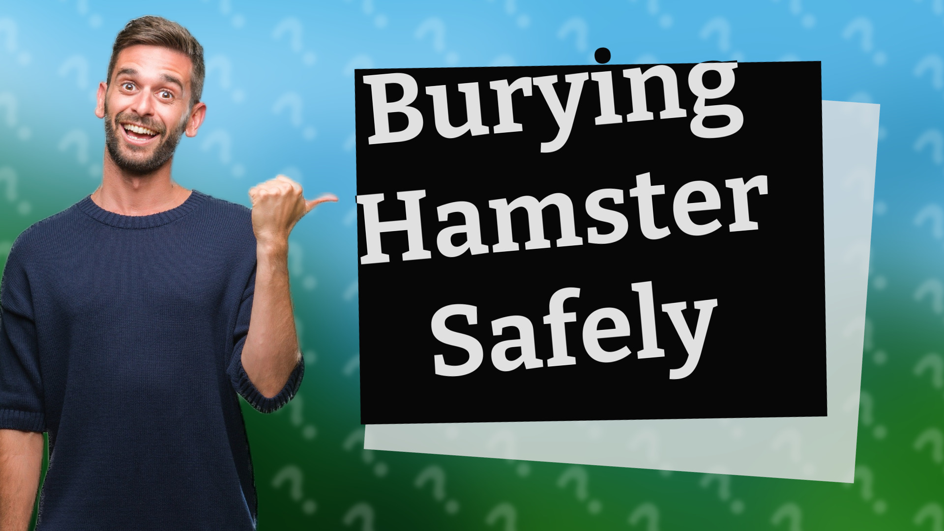 Burying Hamster Safely