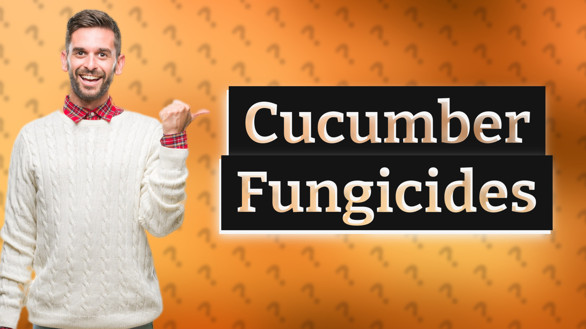 Cucumber Fungicides