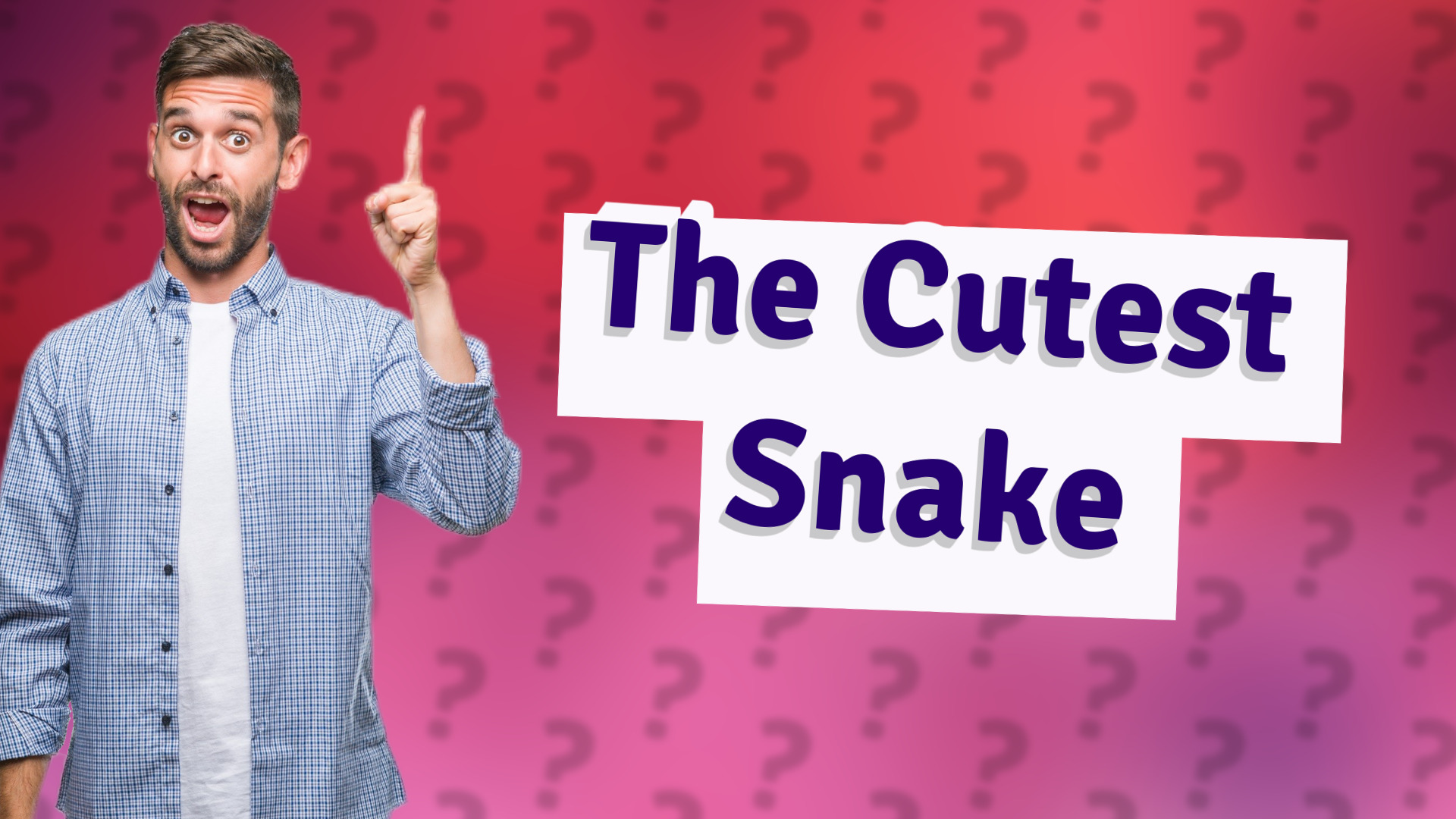 The Cutest Snake