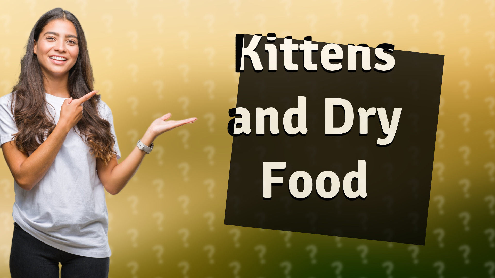 Kittens and Dry Food