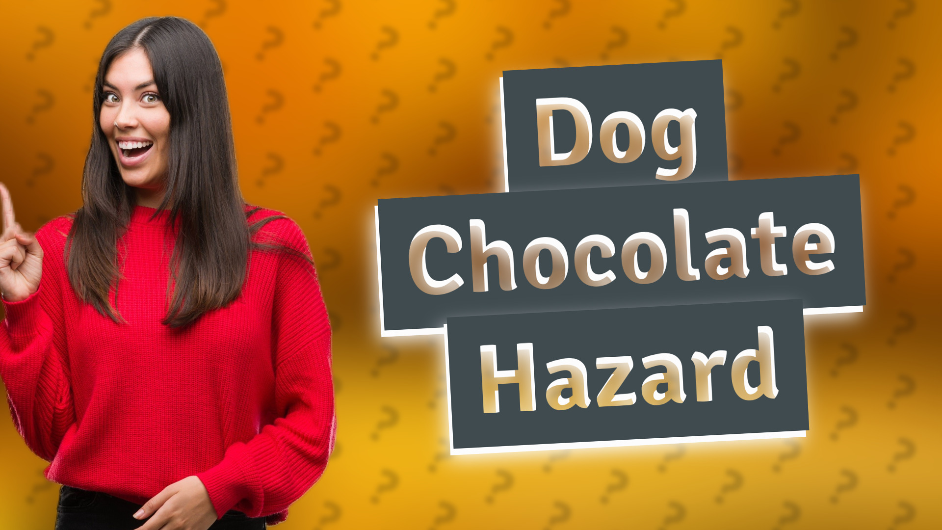 Dog Chocolate Hazard
