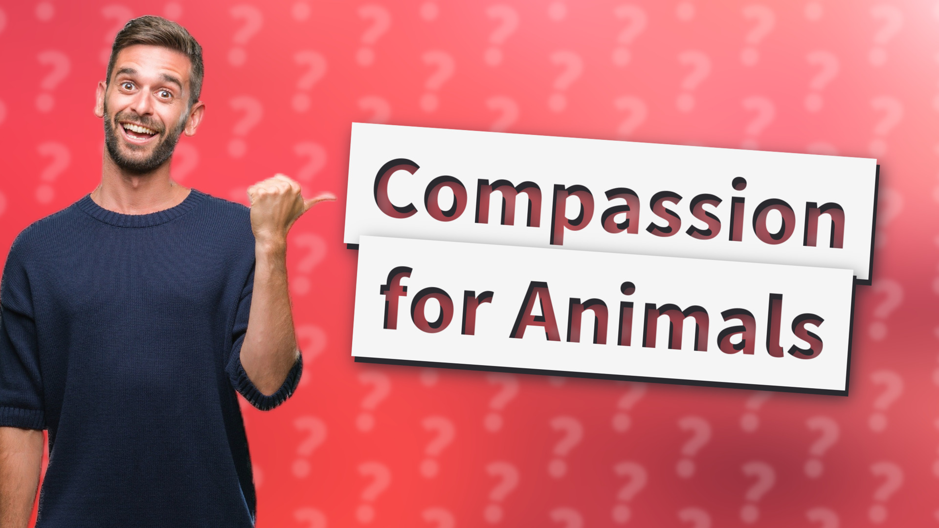 Compassion for Animals