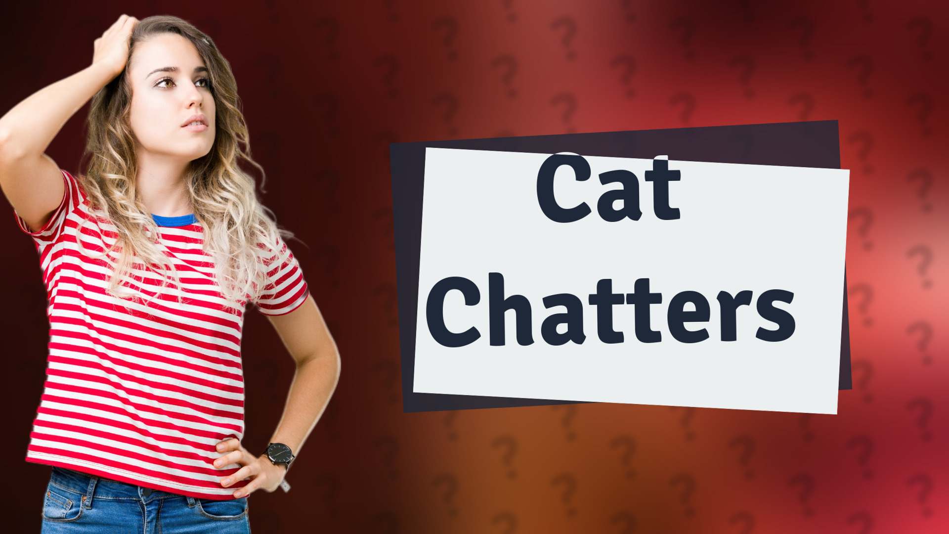 Cat Chatters