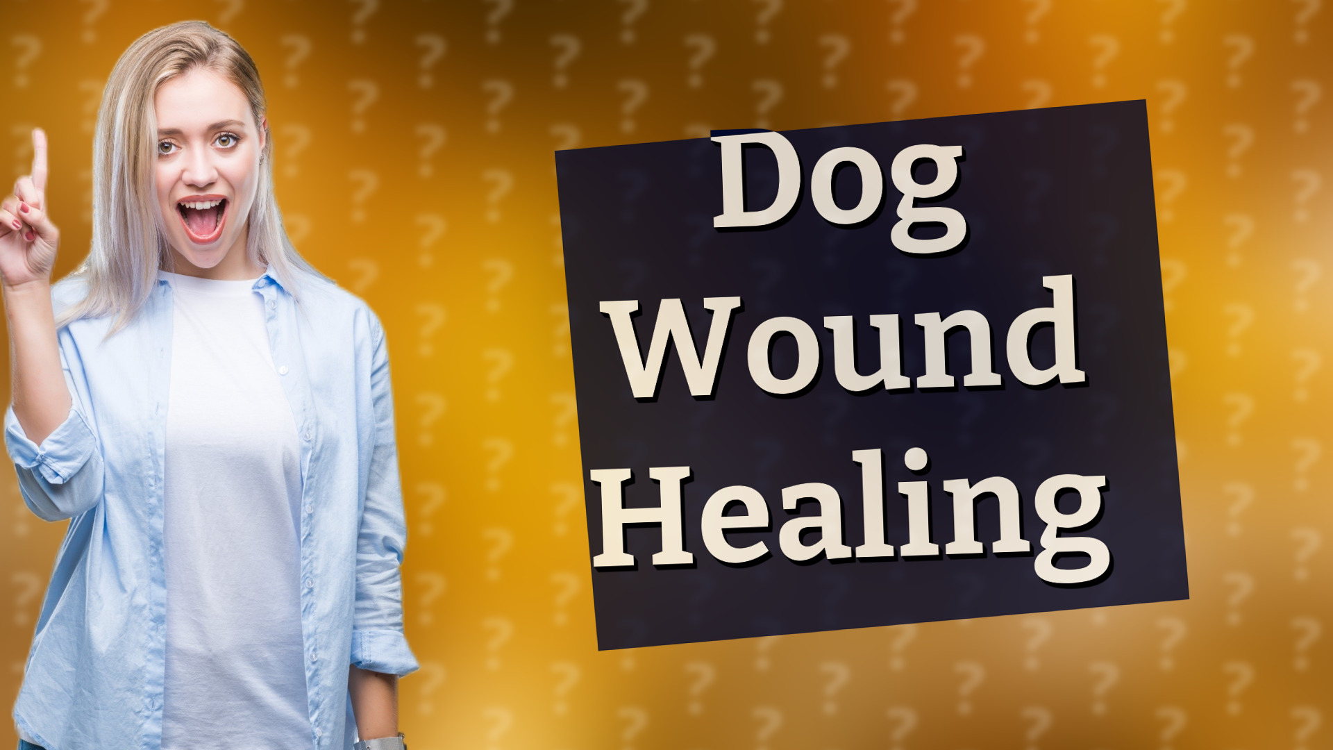 Dog Wound Healing
