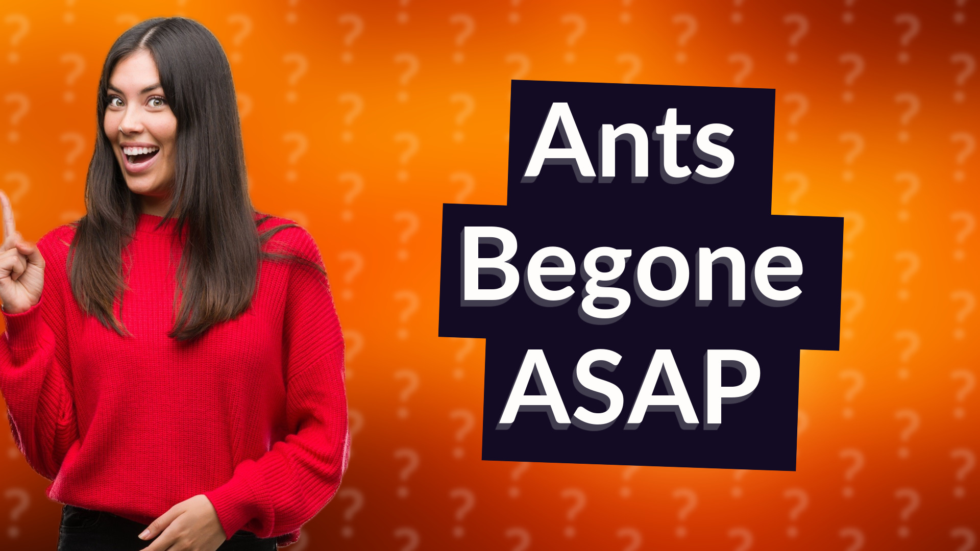 Ants Begone ASAP