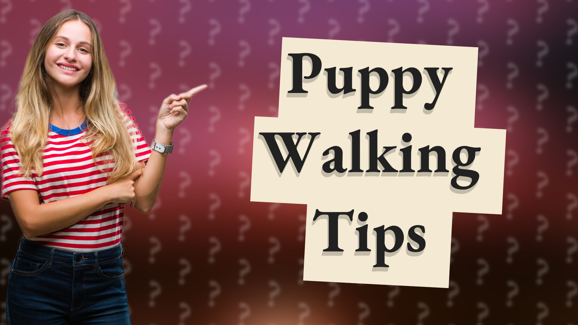 Puppy Walking Tips