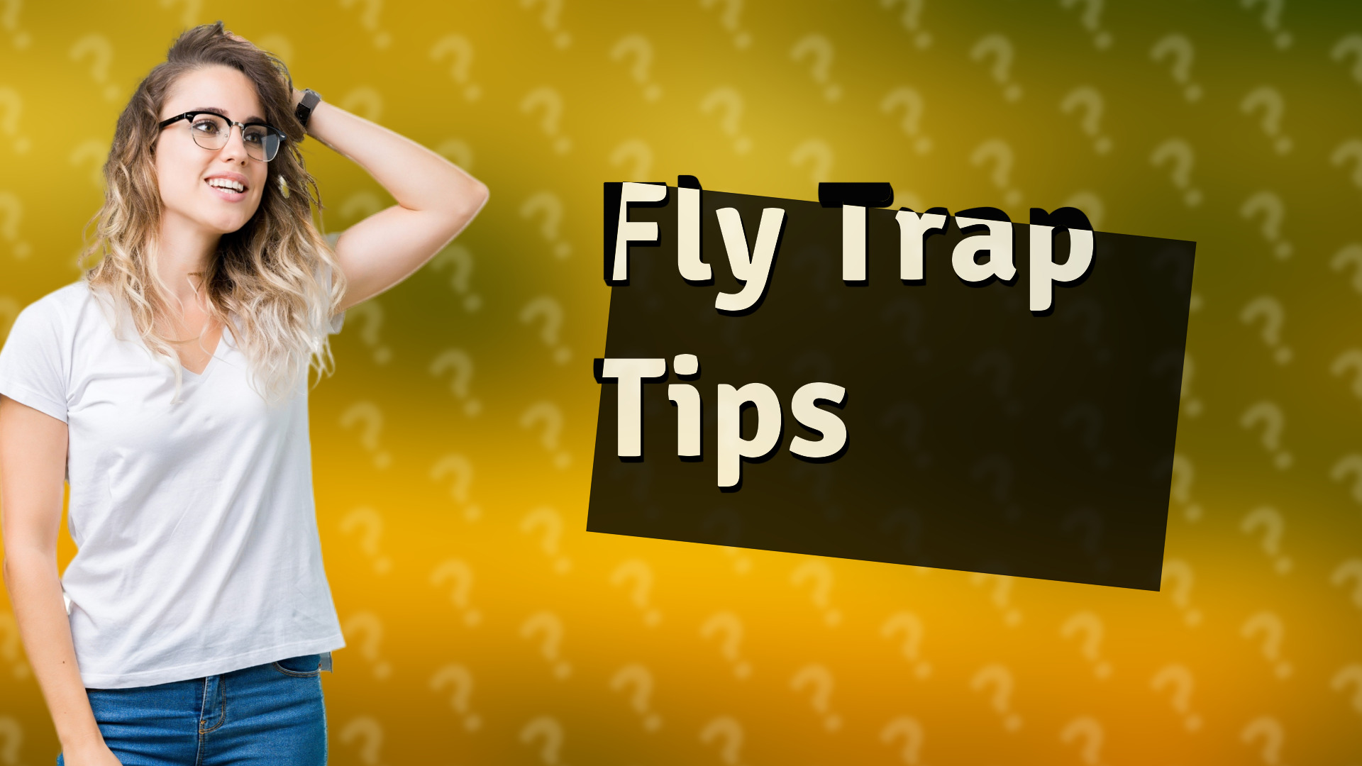 Fly Trap Tips
