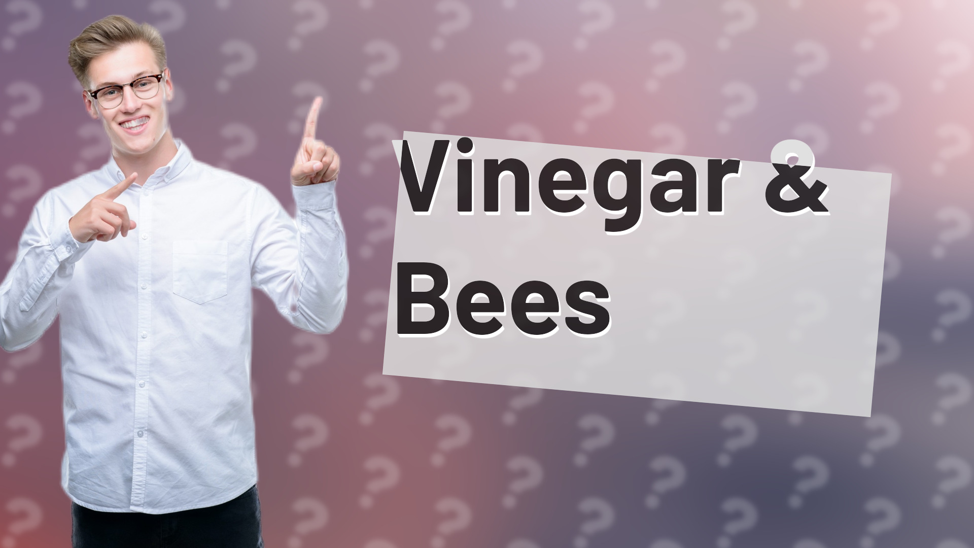 Vinegar & Bees