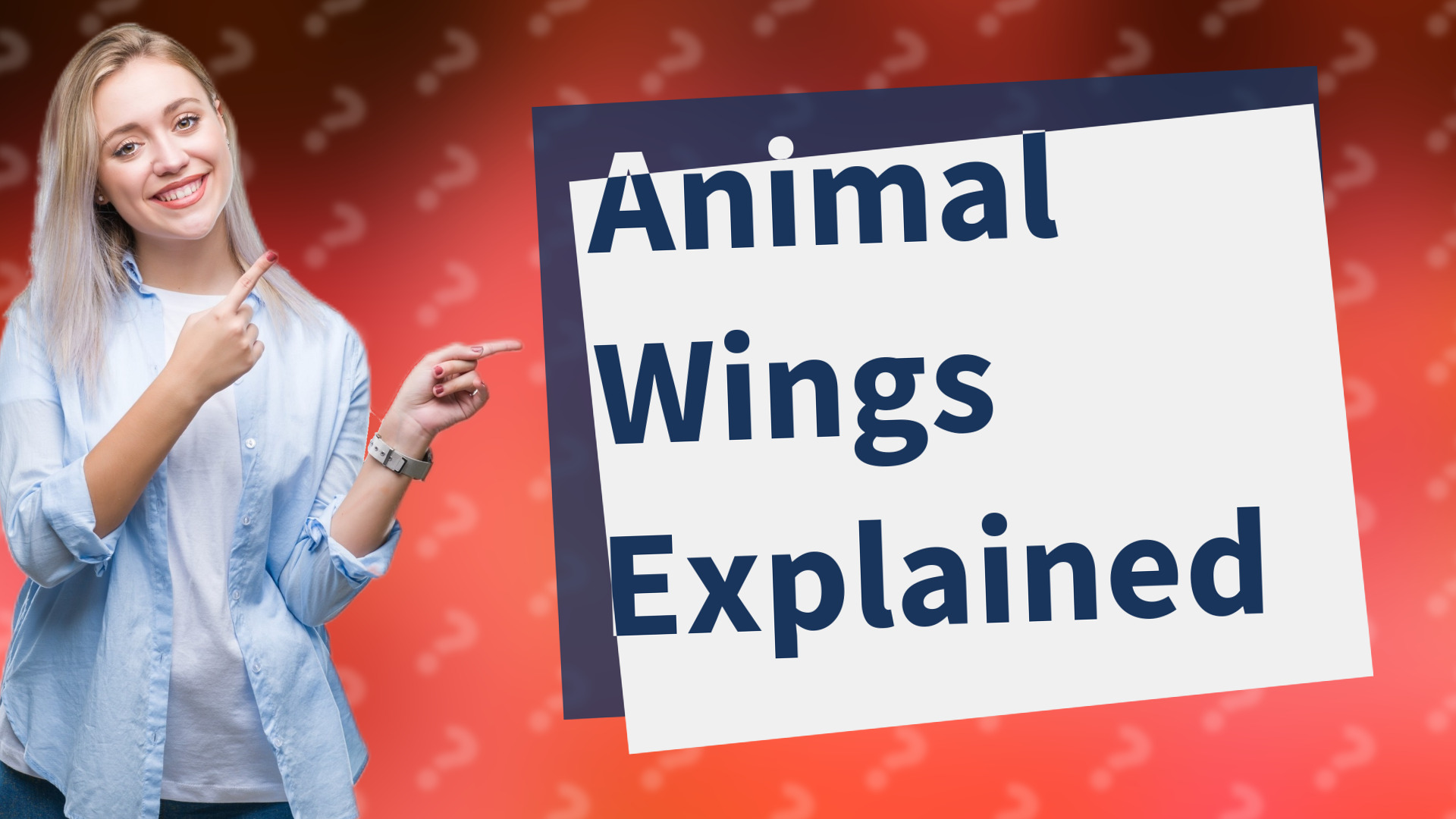 Animal Wings Explained