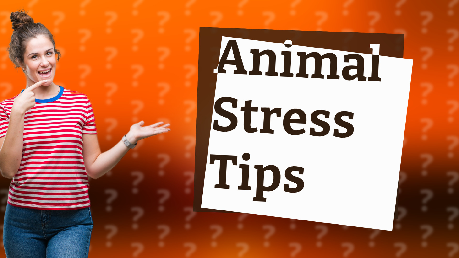 Animal Stress Tips