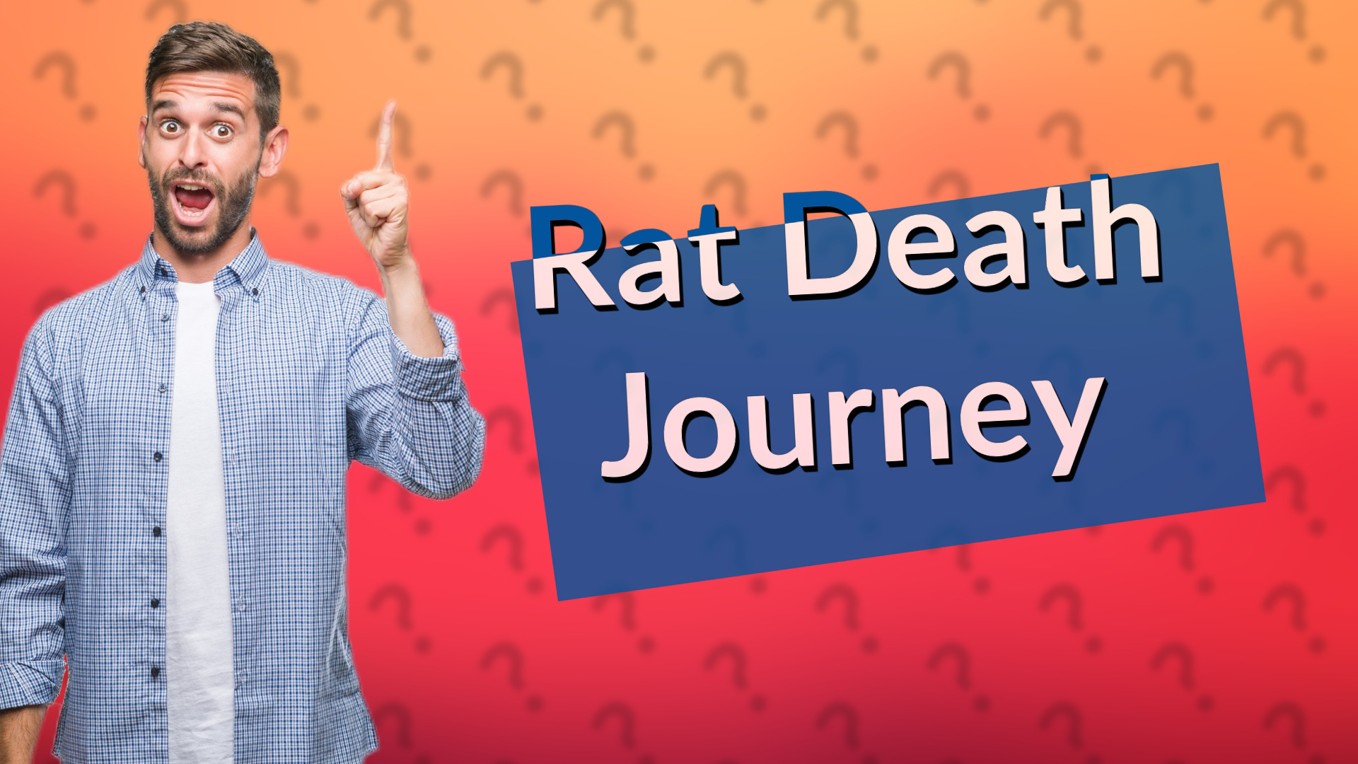 Rat Death Journey